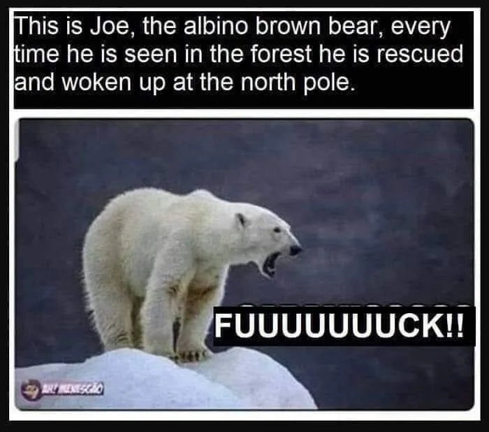 A white polar bear stands on a snowy mound, mouth open in a roar, with the text overlay 'FUUUUUUUCK!!' below it. Above the…