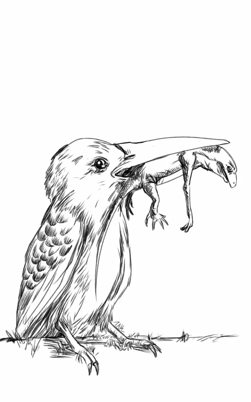 A black-and-white sketch shows a bird with a long beak holding a small dinosaur in its beak. The bird is perched on grass…