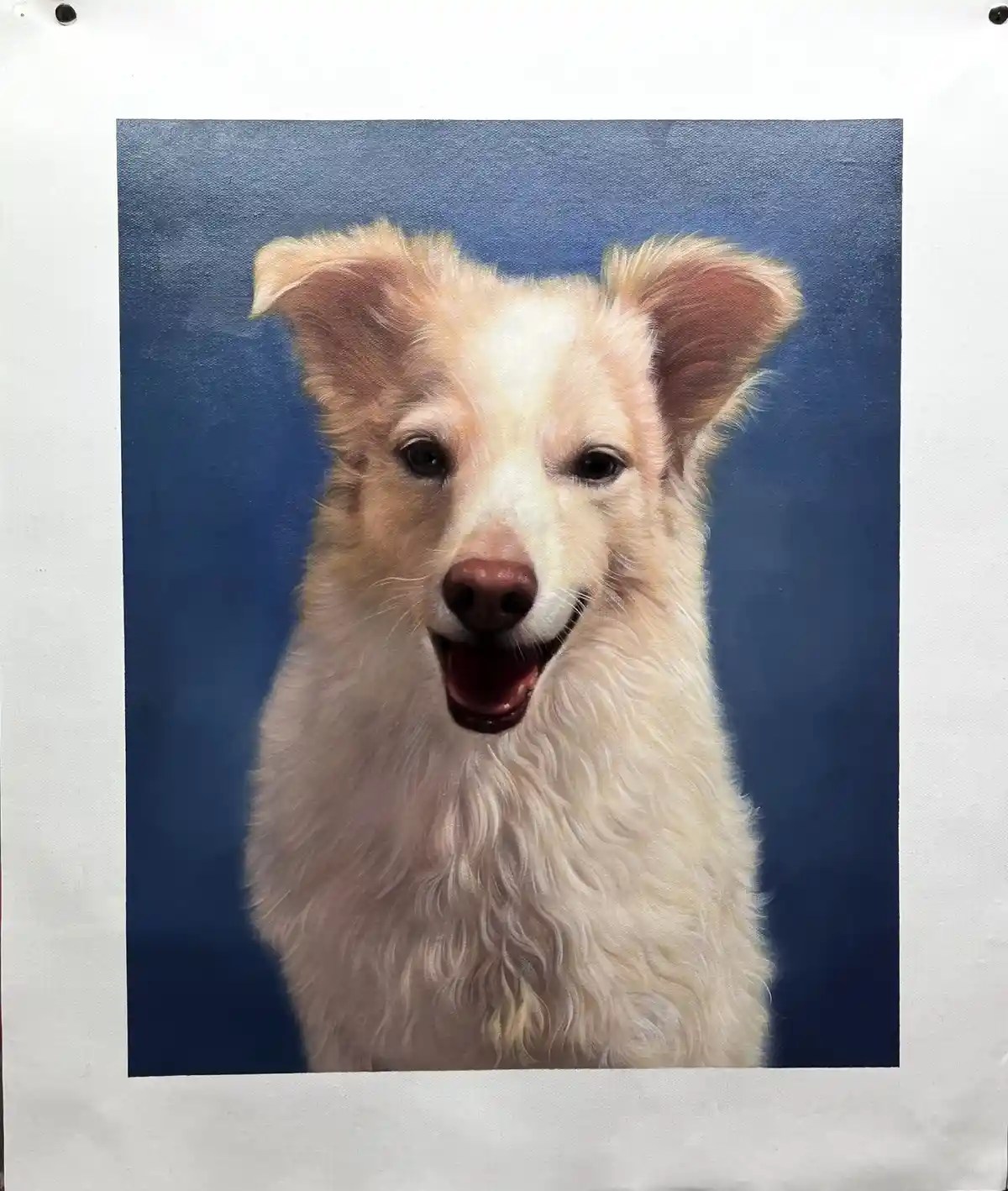 A realistic oil painting of a fluffy, light-colored dog with perky ears and an open-mouthed smile against a solid blue…