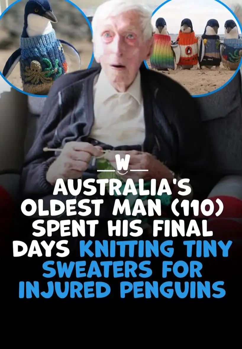 An elderly man with white hair, wearing a dark cardigan over a light shirt, sits holding knitting needles and yarn. Circular…