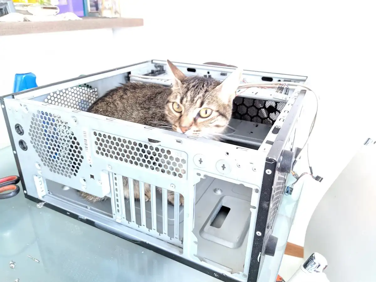 A tabby cat with wide, alert eyes is curled up inside an open, empty computer case sitting on a glass table. The cat looks…