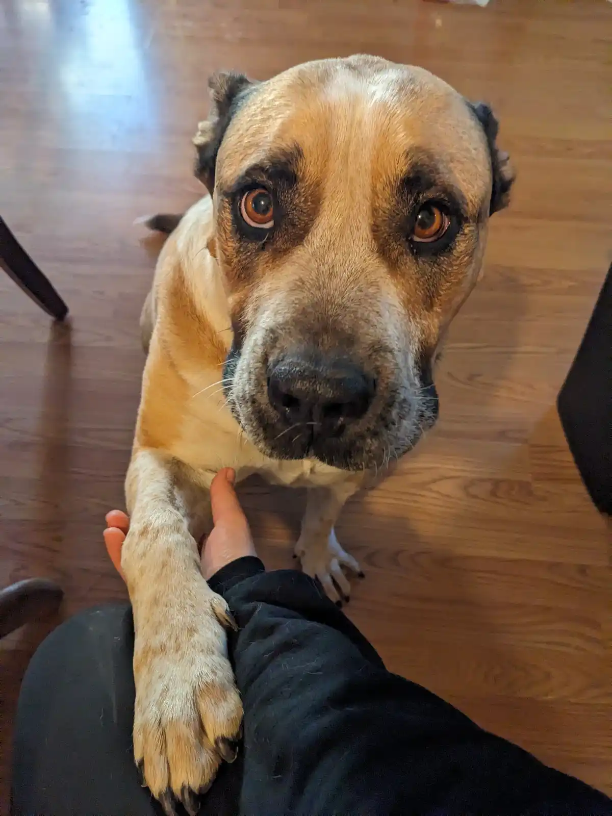 Jelly's Adorable Demand: Let's Hold Hands!