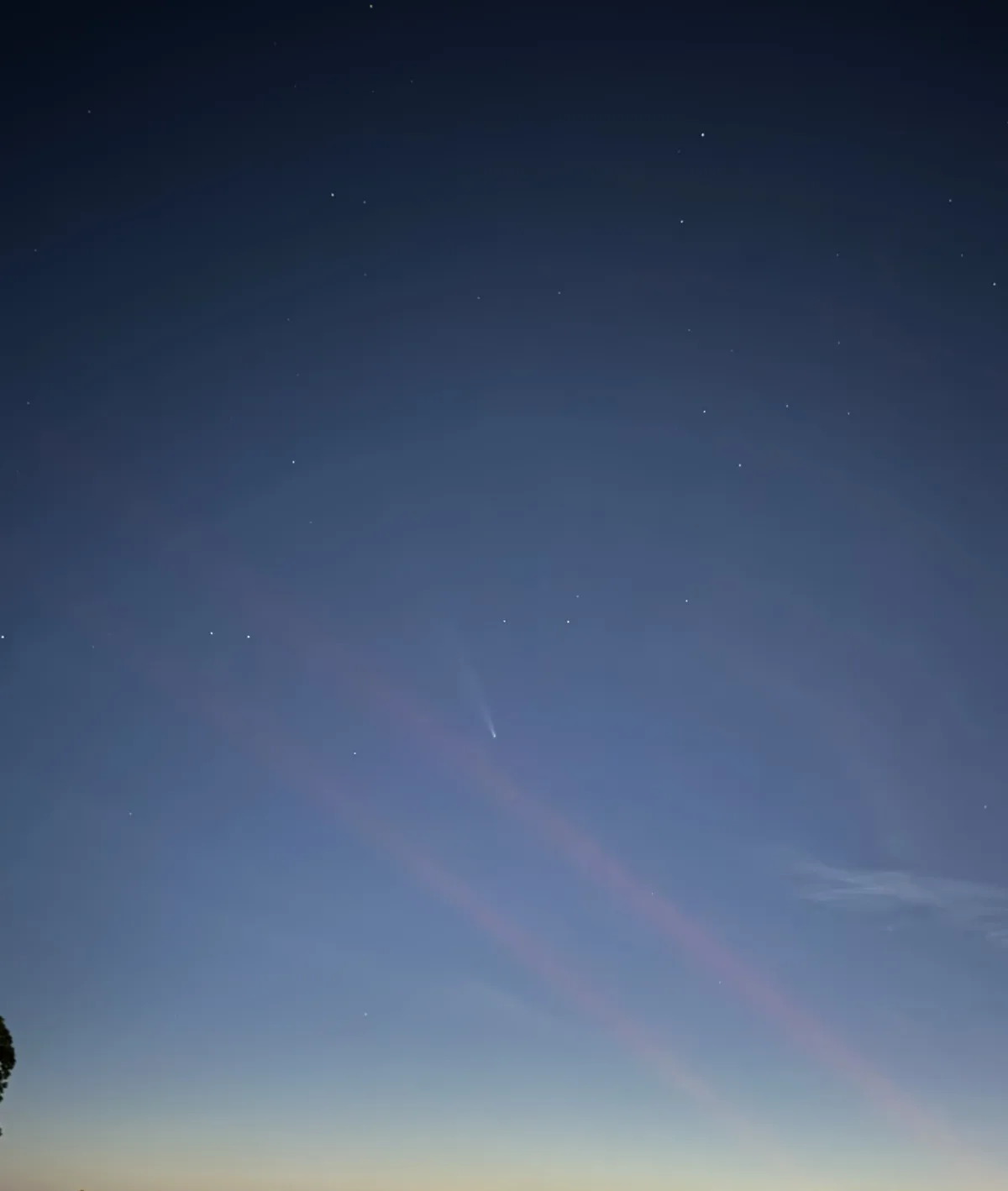 A night sky photograph showing a faint, bright comet with a visible tail streaking across a starry blue sky, with subtle…
