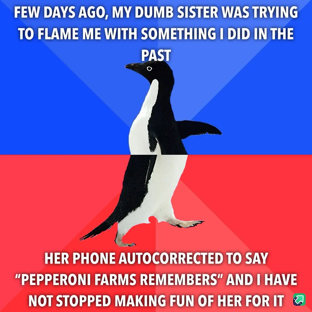 A black-and-white penguin stands centered against a blue-and-red background, with white text overlaid in two sections. The…