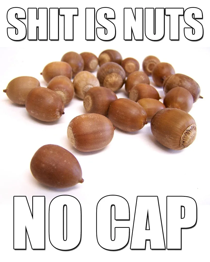 The image displays a pile of acorns on a white background, with large bold text at the top reading 'SHIT IS NUTS' and at the…