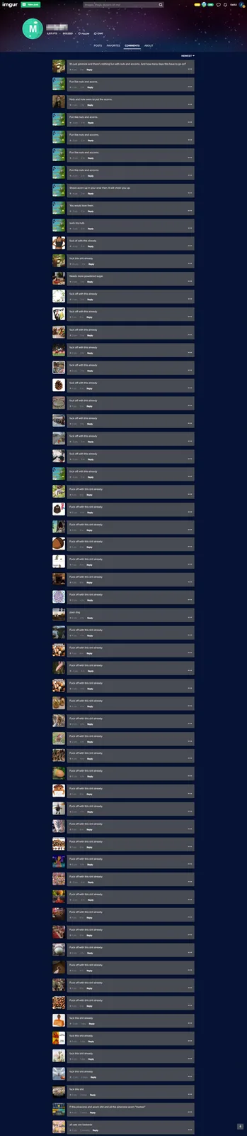 An imgur comment section screenshot showing a long list of replies, most of which are variations of 'fuck off with this…