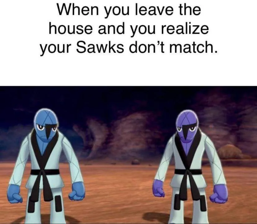 Two cartoon characters resembling the Pokémon Saws are shown standing side by side in white martial arts uniforms with black…