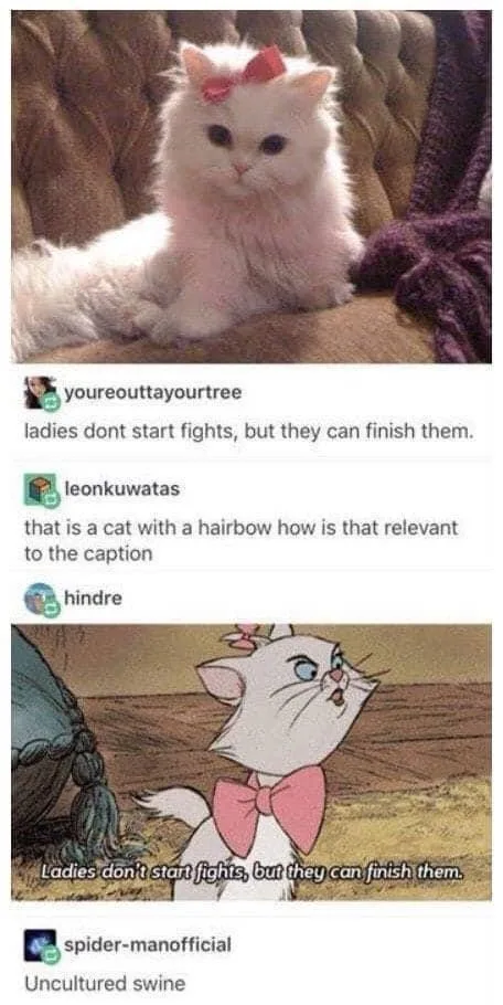 The image shows a fluffy white cat with a pink bow on its head sitting on a brown couch. Below it, a screenshot of a social…