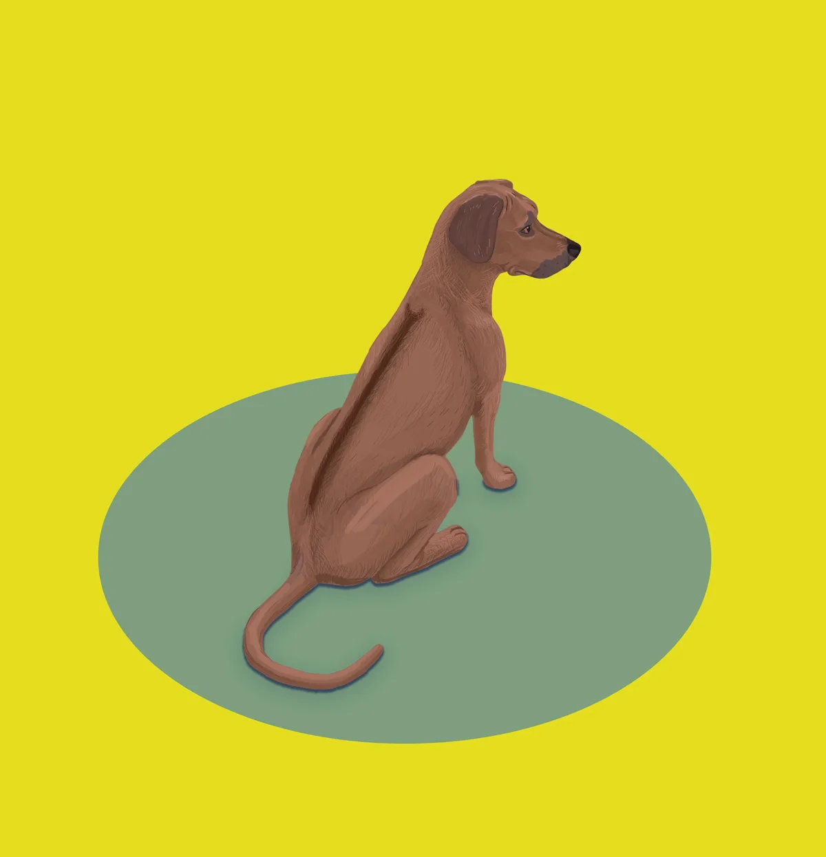 A stylized illustration of a brown dog sitting upright on a muted green circular platform against a bright yellow…