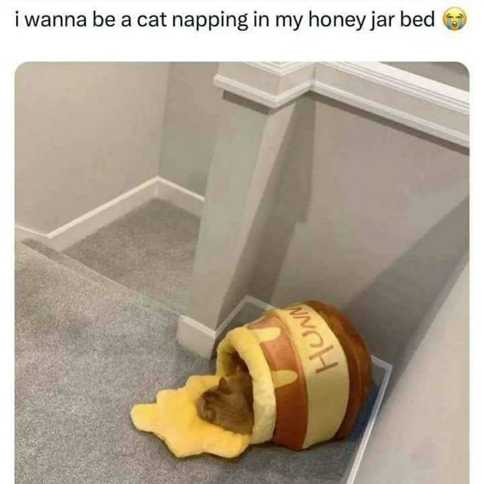 A small brown cat is curled up sleeping inside a plush, upside-down honey jar-shaped pet bed that has spilled yellow 'honey'…