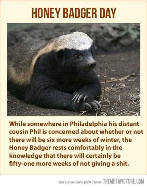 A honey badger lies calmly on dirt, looking off to the side. The image has text overlaid: 'HONEY BADGER DAY' at the top, and…