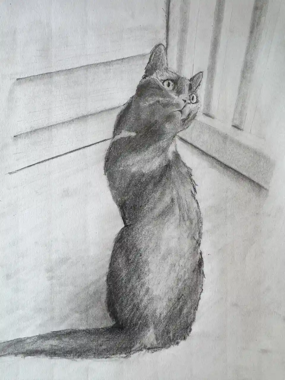 A detailed pencil sketch of a cat sitting upright and looking upward with wide, expressive eyes, conveying a sense of…