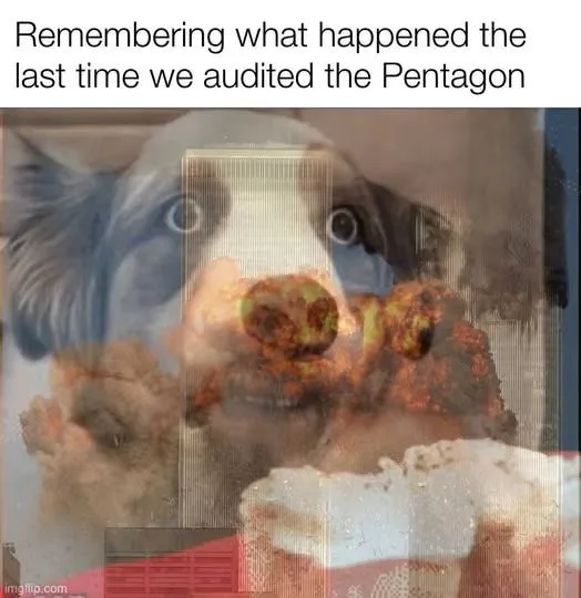 A dog with wide, startled eyes peers through a glass pane, its nose and paws pressed against the surface. The glass is…