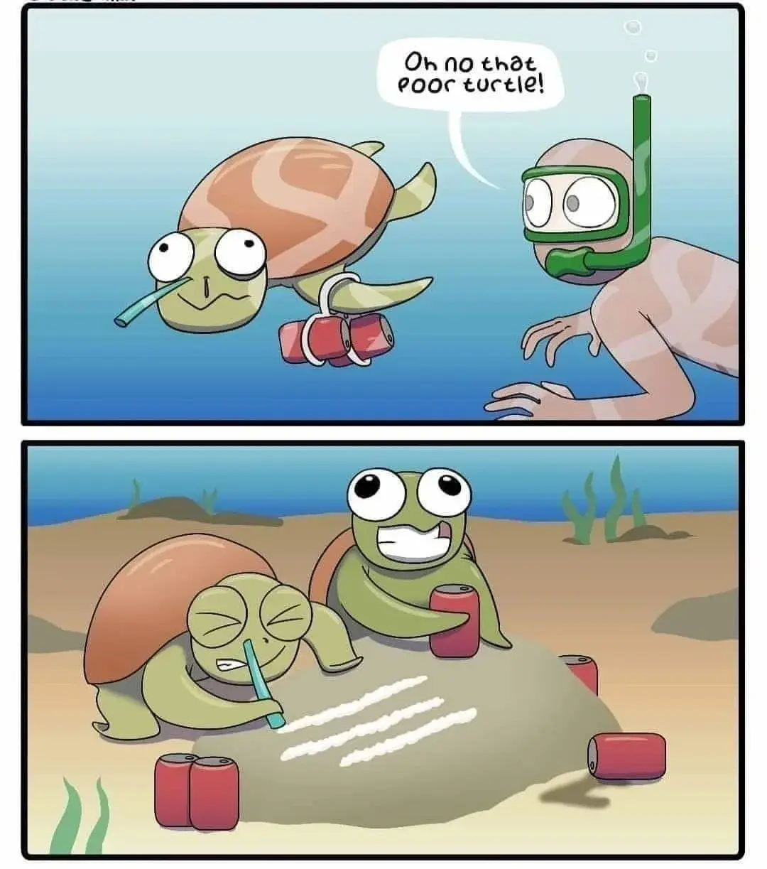 Two-panel cartoon: top panel shows a snorkeler gasping in horror at a turtle wearing a snorkel and carrying red soda cans…