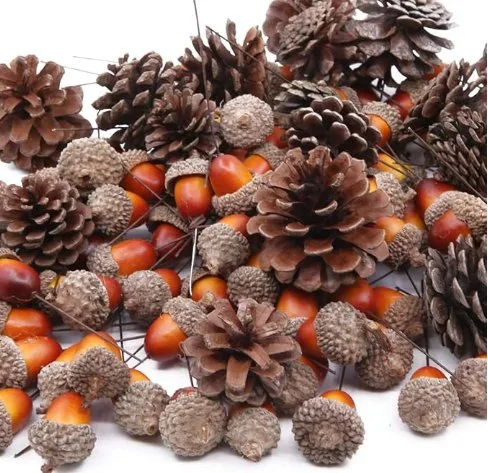 A pile of brown pinecones and orange acorns on thin wire stems against a white background, with the text 'i'm not a…