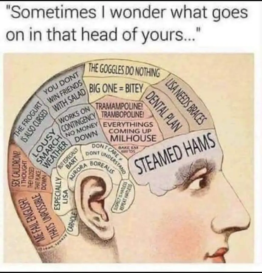 An illustrated side profile of a man's head with the top sliced open to reveal various labeled brain sections filled with…