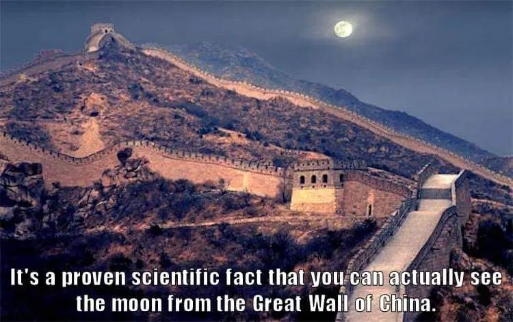 Truth Bombs: Facts That Hit Hard!