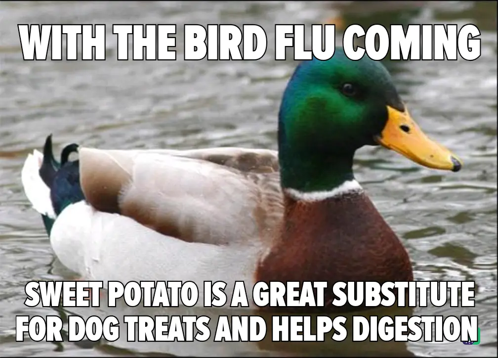 A mallard duck with a green head and white body floats calmly in water. The image has bold white text overlaid: 'WITH THE…