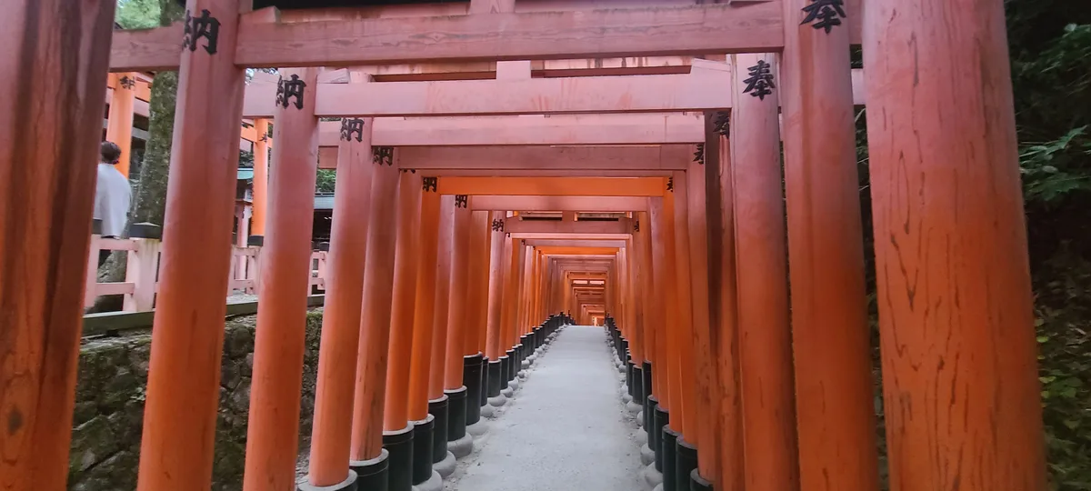 A long, straight path lined with repeating orange-red wooden torii gates, receding into the distance, with green foliage…