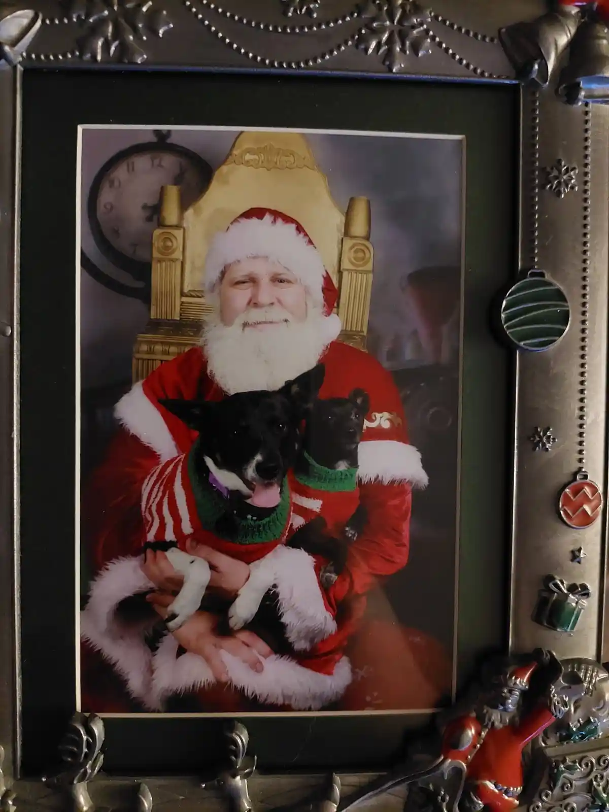 A framed Christmas photo shows a man dressed as Santa Claus sitting on a golden throne, holding two small black dogs wearing…