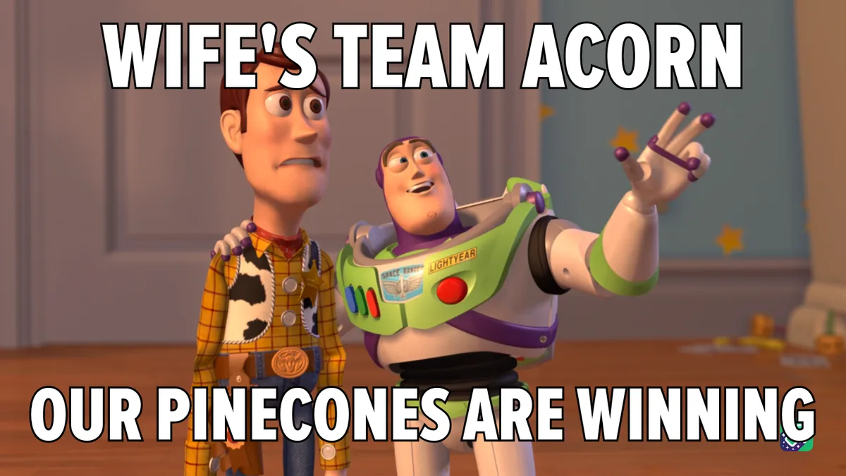 Two animated characters, Woody and Buzz Lightyear from Toy Story, are shown with Buzz pointing excitedly. The text overlaid…