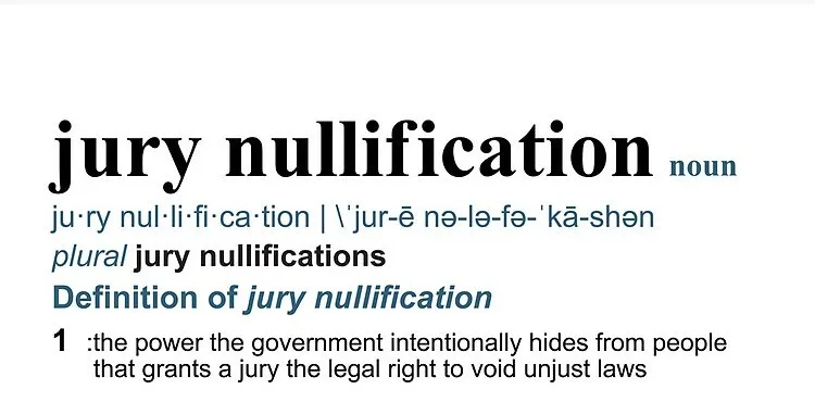 The image displays a dictionary definition for 'jury nullification,' showing the term, pronunciation, plural form, and…