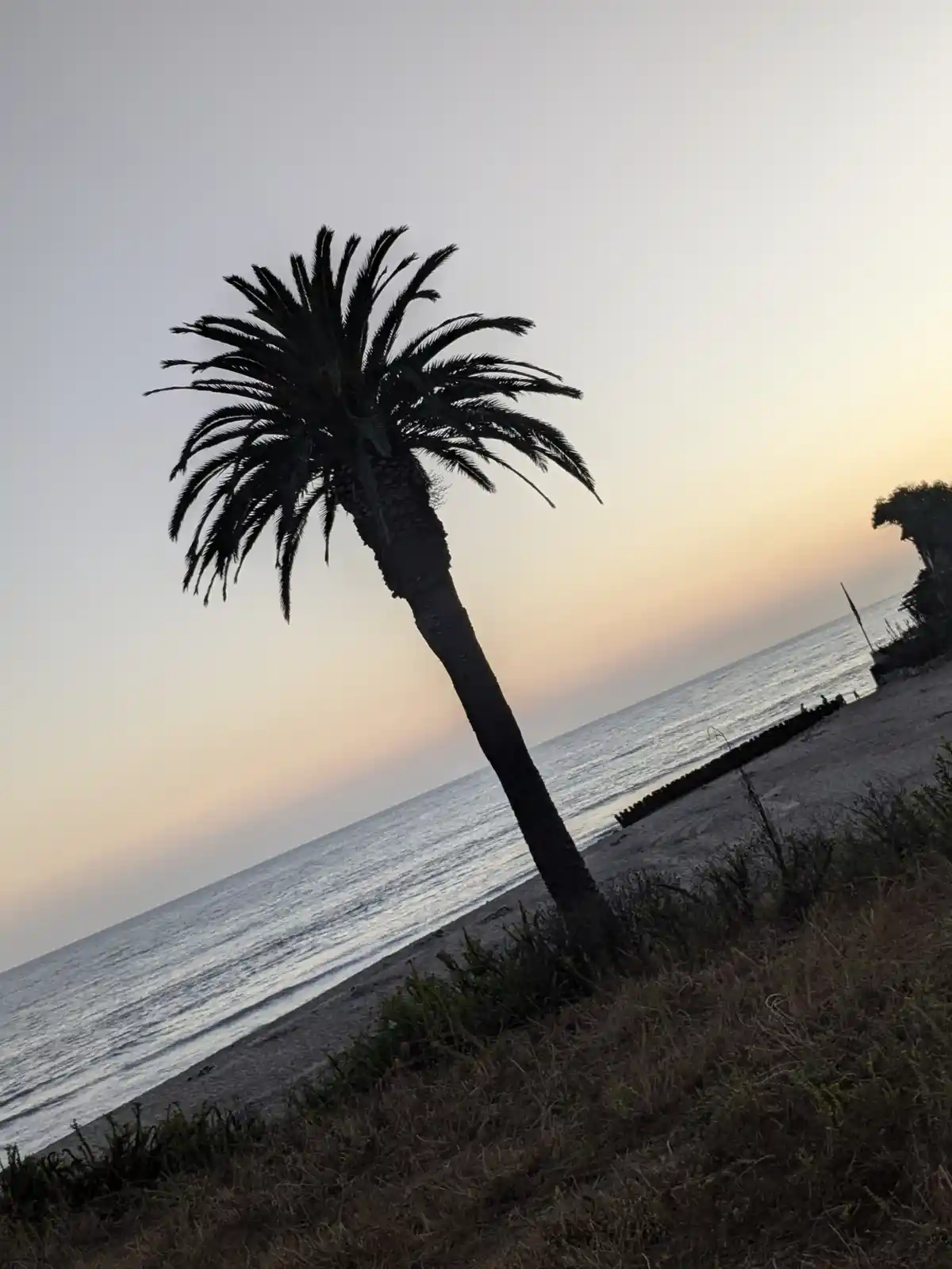 A lone palm tree leans dramatically over a beach at sunset, its silhouette stark against the fading orange and gray sky. The…