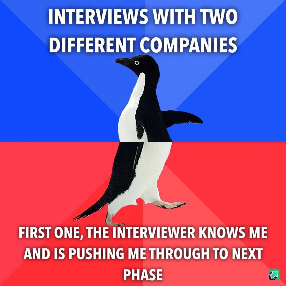 A penguin stands centered against a blue and red background, split horizontally. White bold text at the top reads…