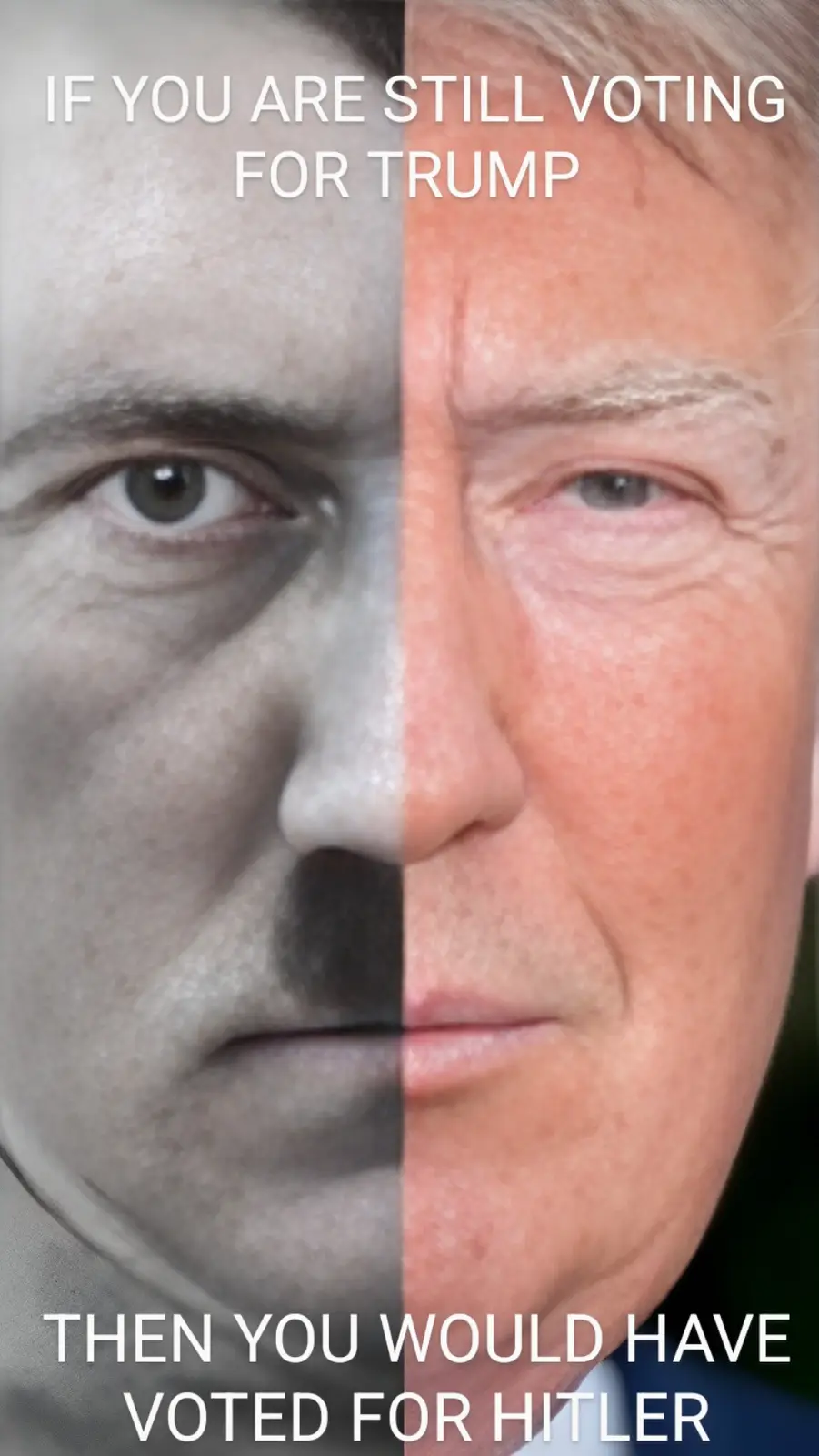 The image is a split-face meme showing Adolf Hitler on the left side in black and white and Donald Trump on the right side…