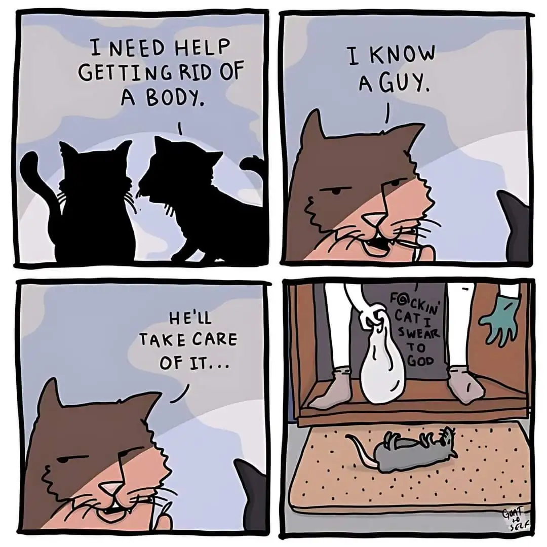A four-panel comic strip featuring cartoon cats. In the first panel, two black cats discuss needing help getting rid of a…