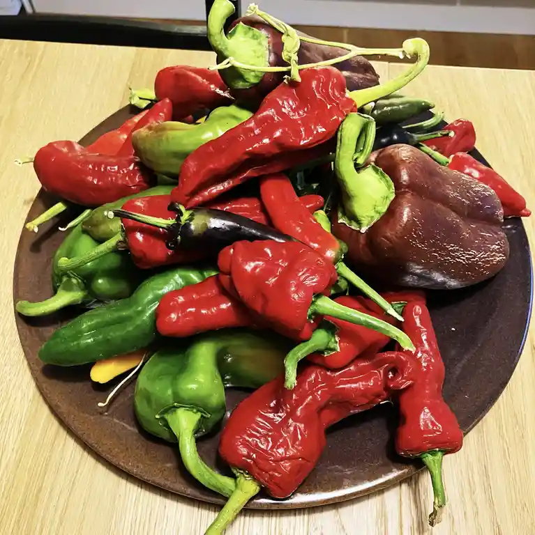 Spicy Chillies and Peppers!