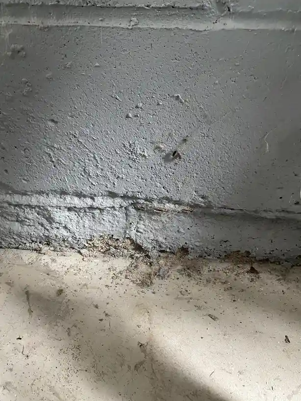 A close-up photo shows a gray, textured concrete wall with visible cracks and peeling paint near the floor, where dirt and…