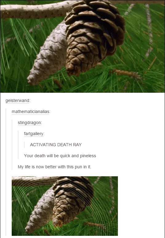 A pinecone is shown on a branch with grass in the background. Overlaid text in a chat-style format shows a user named…