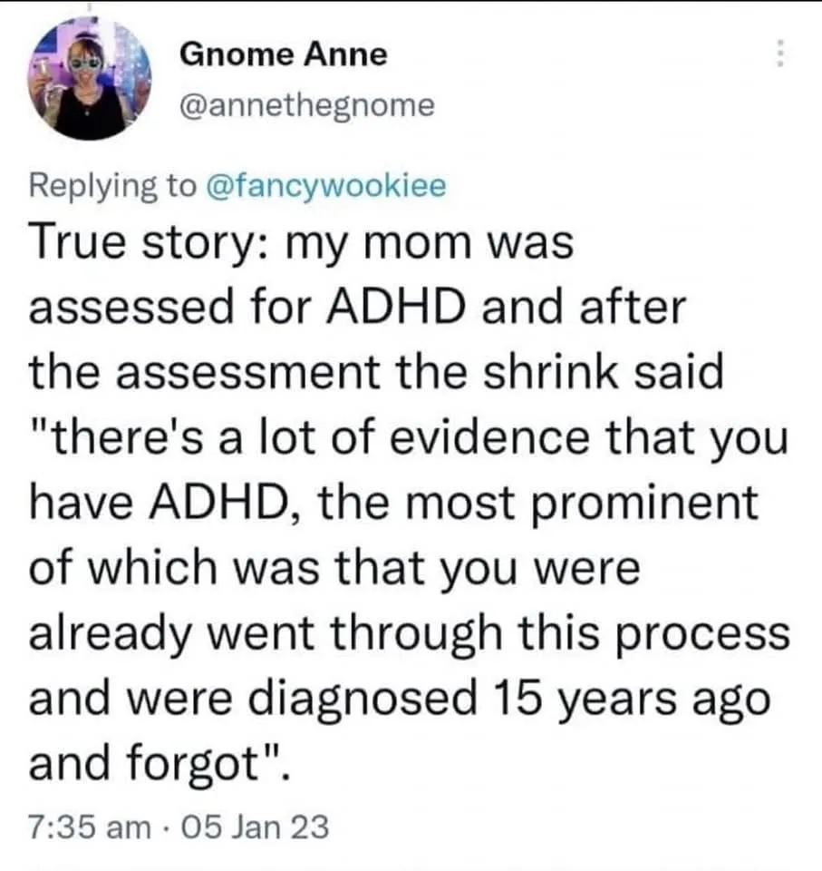 A screenshot of a Twitter post by user Gnome Anne (@annethegnome) replying to @fancywookiee. The post reads: 'True story: my…