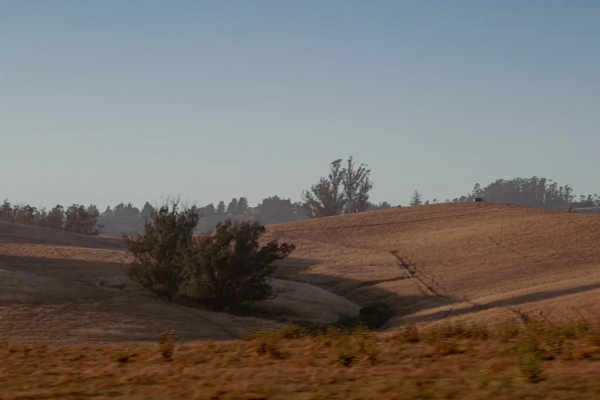 A serene landscape photo of rolling golden-brown hills under a clear blue sky, with scattered dark trees and shrubs. The…