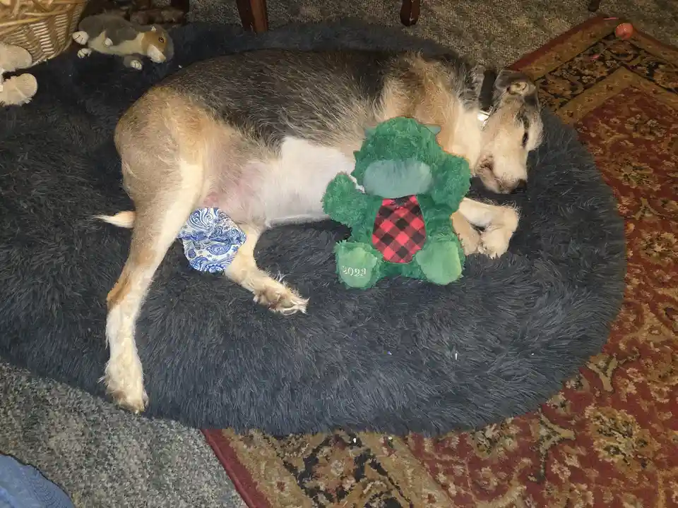 Cuddling with His Adorable Babies