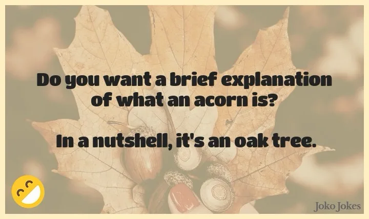 The image shows dried autumn leaves and acorns on a soft-focus background. Overlaid text asks if the viewer wants a brief…