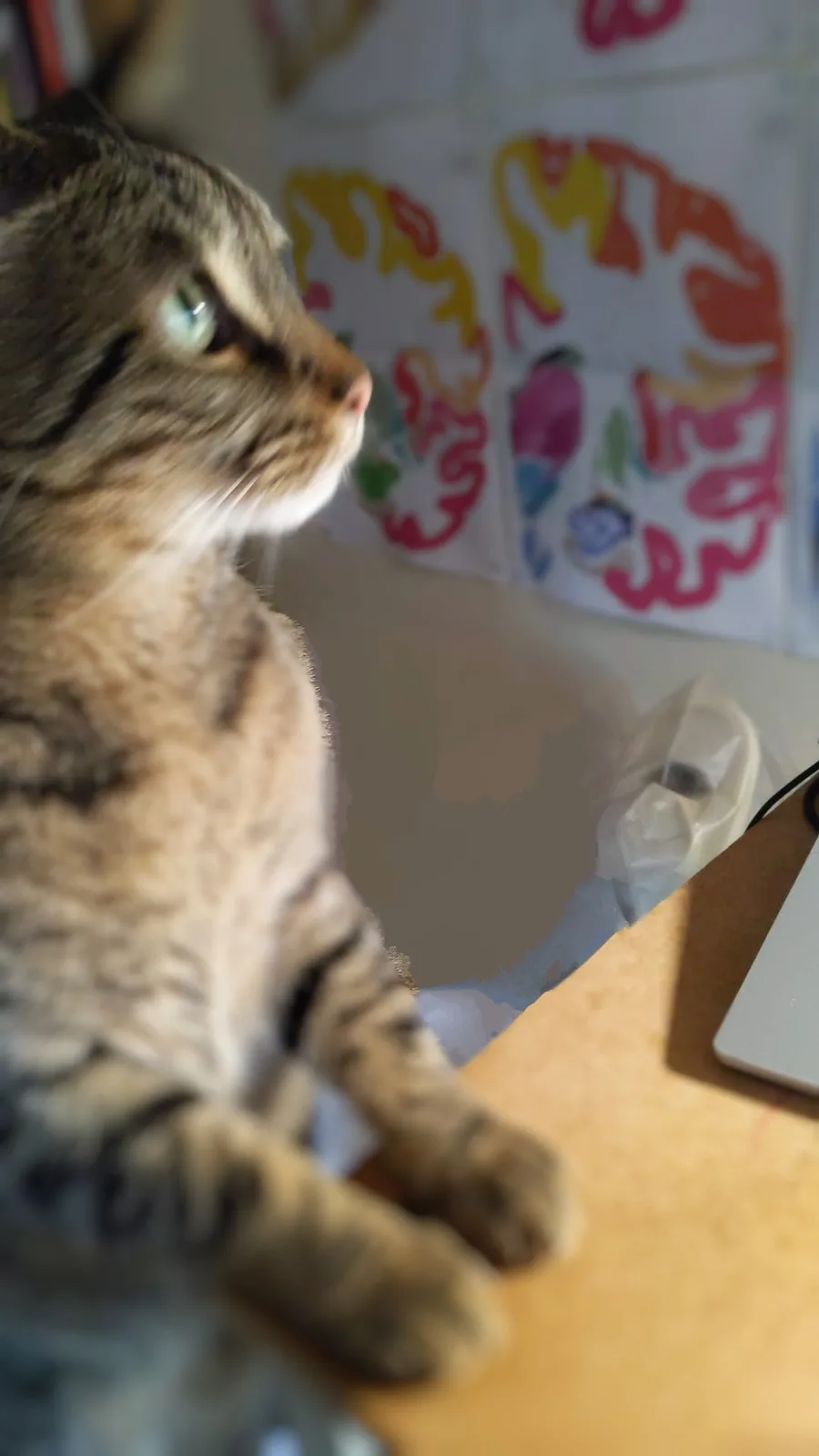 A tabby cat sits on a wooden desk, looking off to the side with a calm, slightly aloof expression. Behind it, colorful…