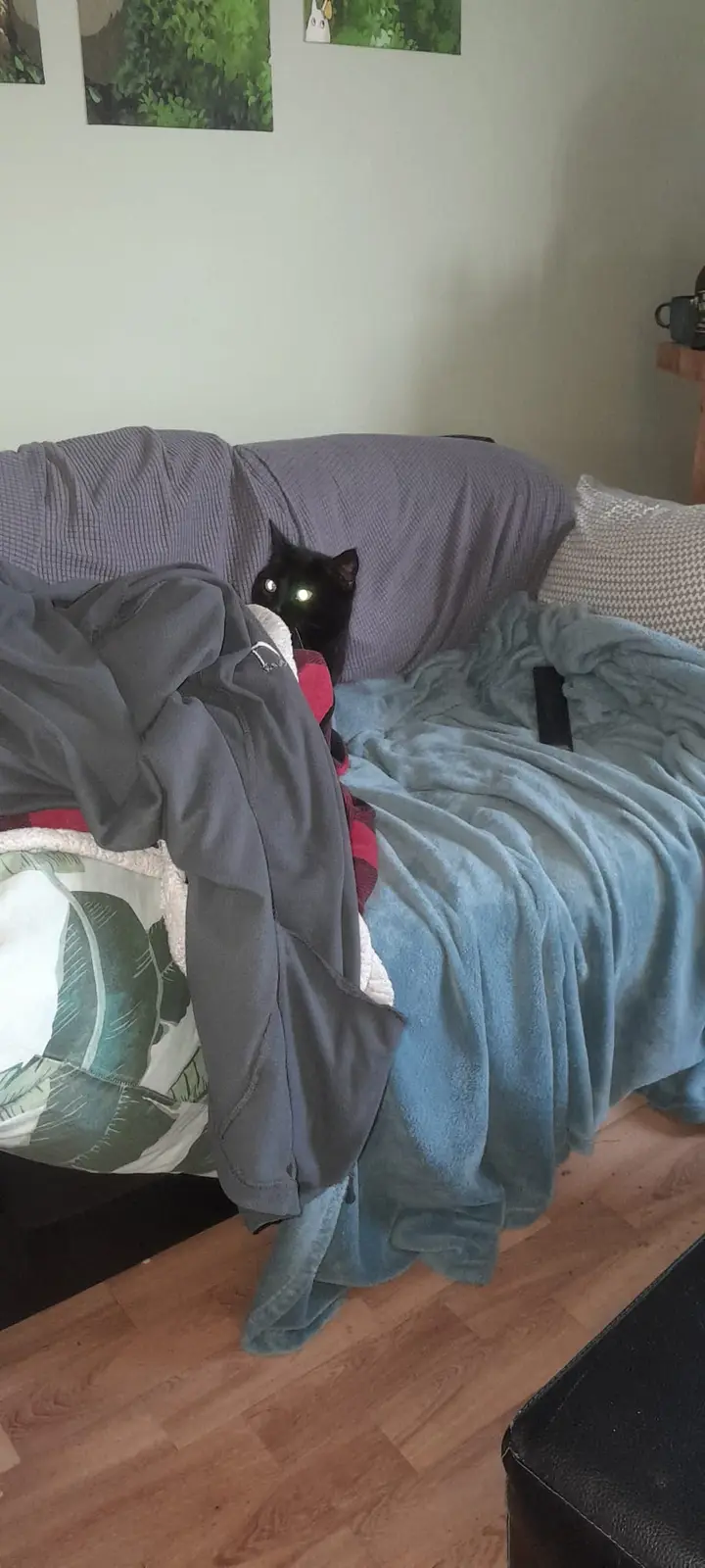 Looks like she's snuggled up under the blankets!