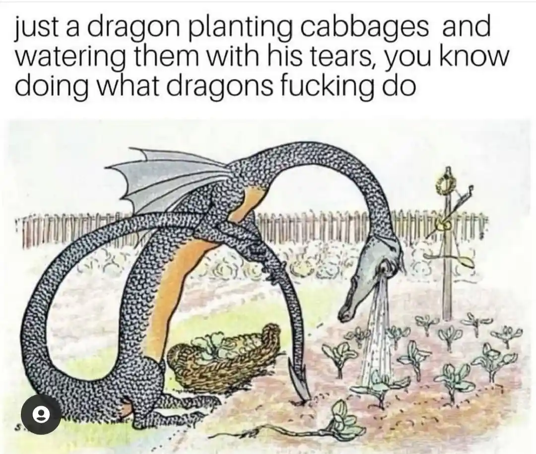 An illustrated dragon with a long, scaled body and wings is shown in a garden, using its snout to water small cabbage plants…