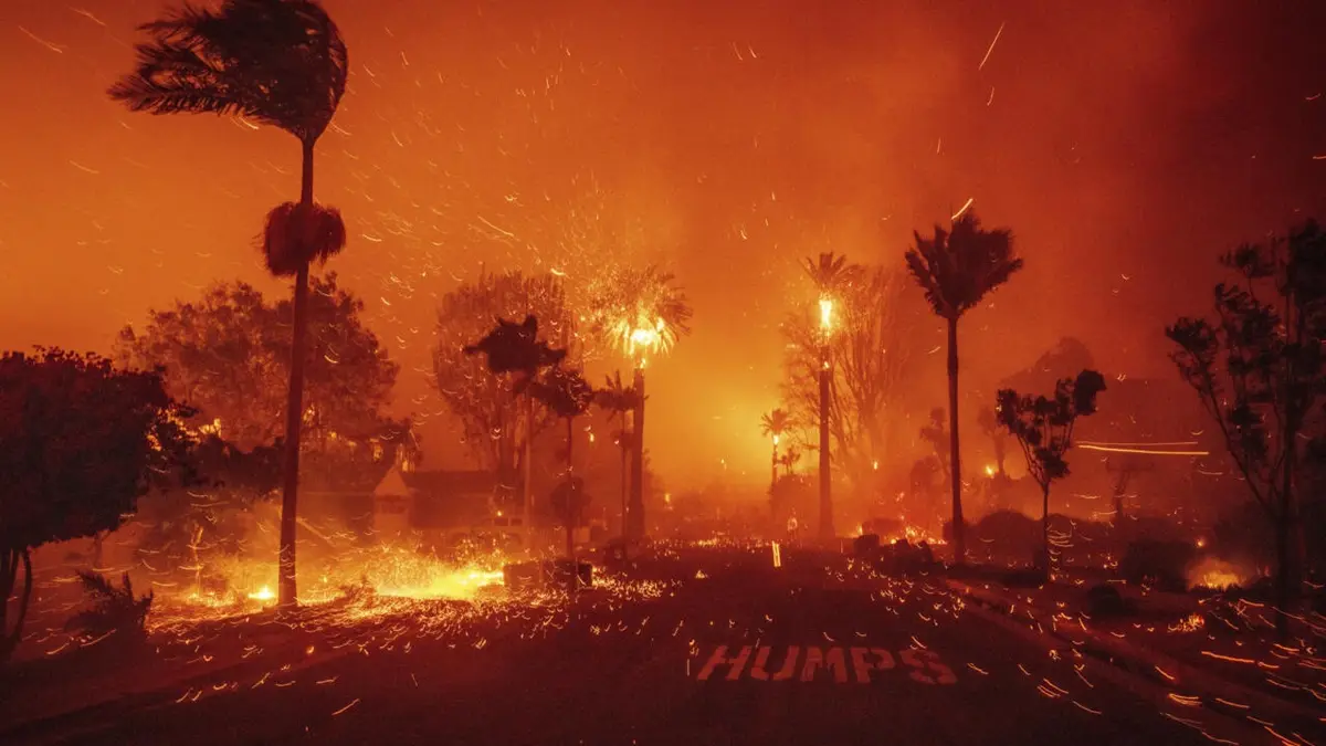 A dramatic photograph of a wildfire engulfing a residential street at night, with palm trees silhouetted against an orange…
