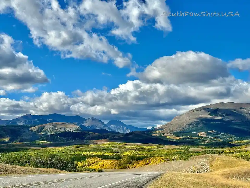 A scenic landscape photo shows a paved road curving through rolling hills with vibrant yellow and green foliage under a…