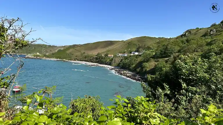 A scenic coastal view with turquoise water, green hills, and a small village on the shore, framed by foliage in the…