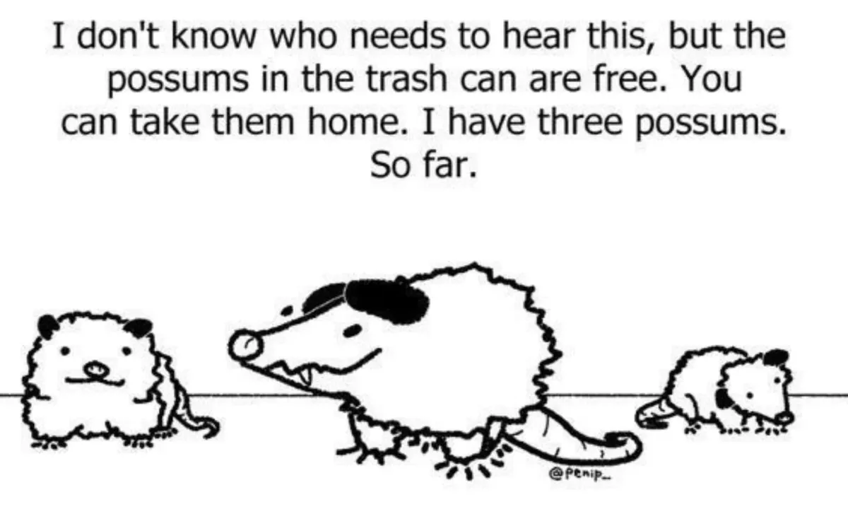 A black-and-white cartoon depicts three possums: one small one on the left, a larger one in the center with a wide grin and…