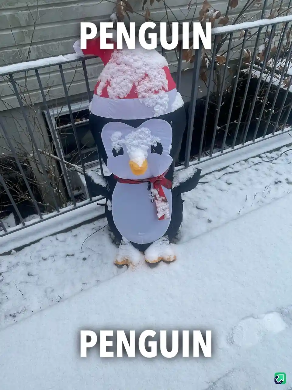 An inflatable penguin decoration wearing a red and white Santa hat and a red plaid scarf stands in a snowy yard next to a…
