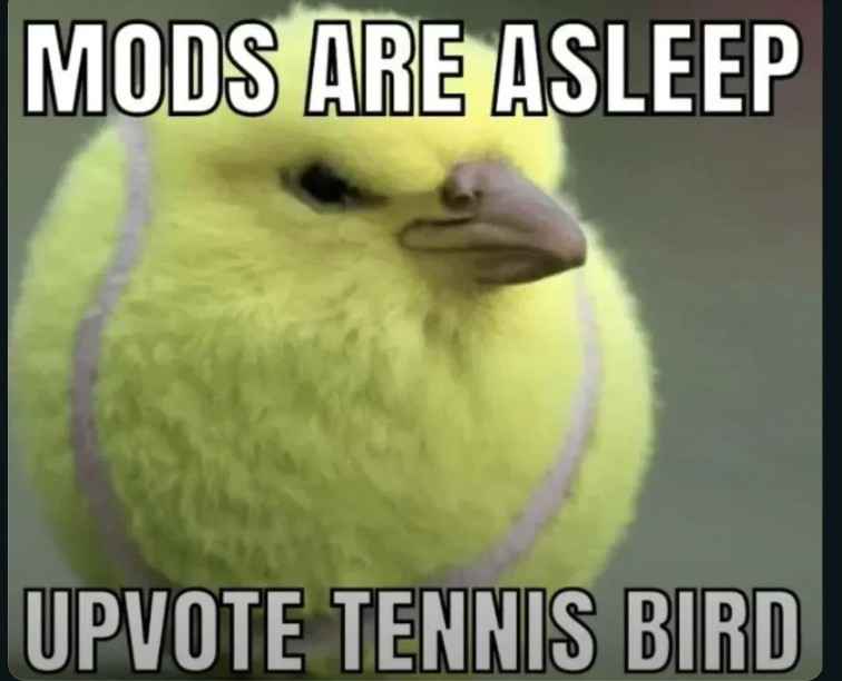 A close-up image of a yellow, fluffy bird with a tennis ball texture and two gray stripes, resembling a tennis ball. The…