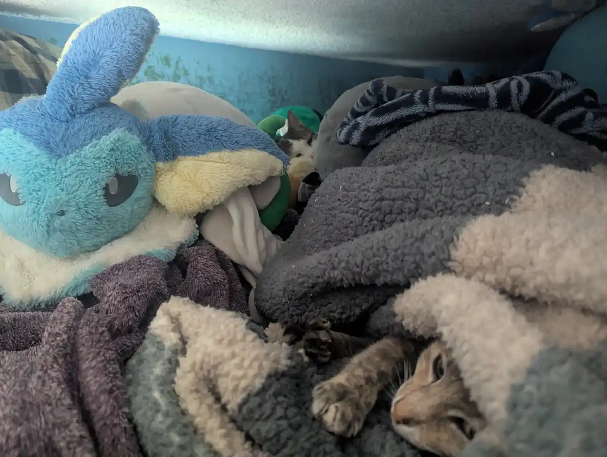 A cat is nestled among soft blankets and plush toys, including a large blue Stitch plush, appearing to be sleeping or…