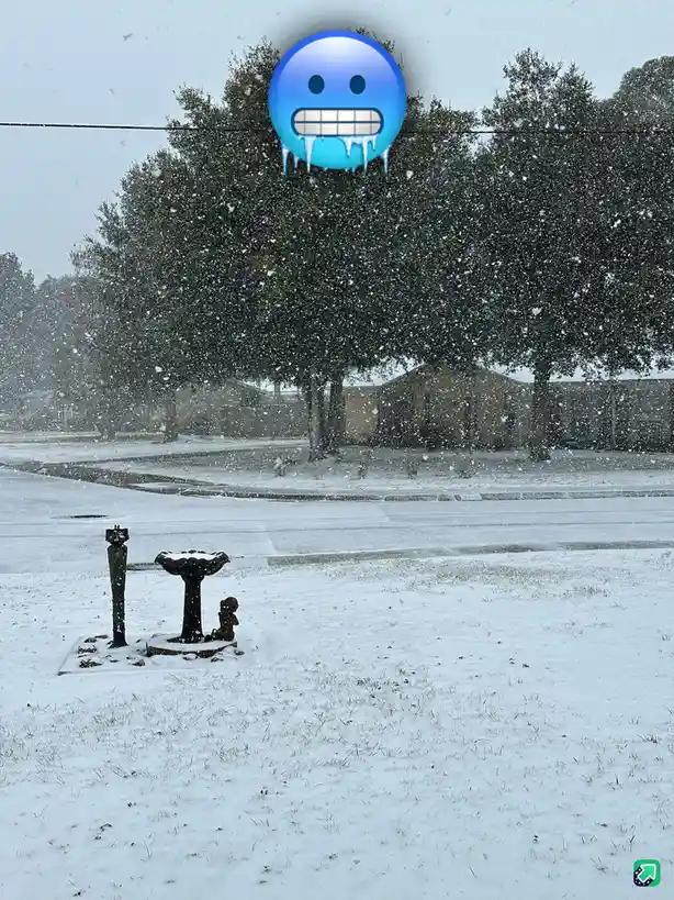 A snowy suburban street scene with snow-covered grass, trees, and a small fountain in the foreground, overlaid with a large…
