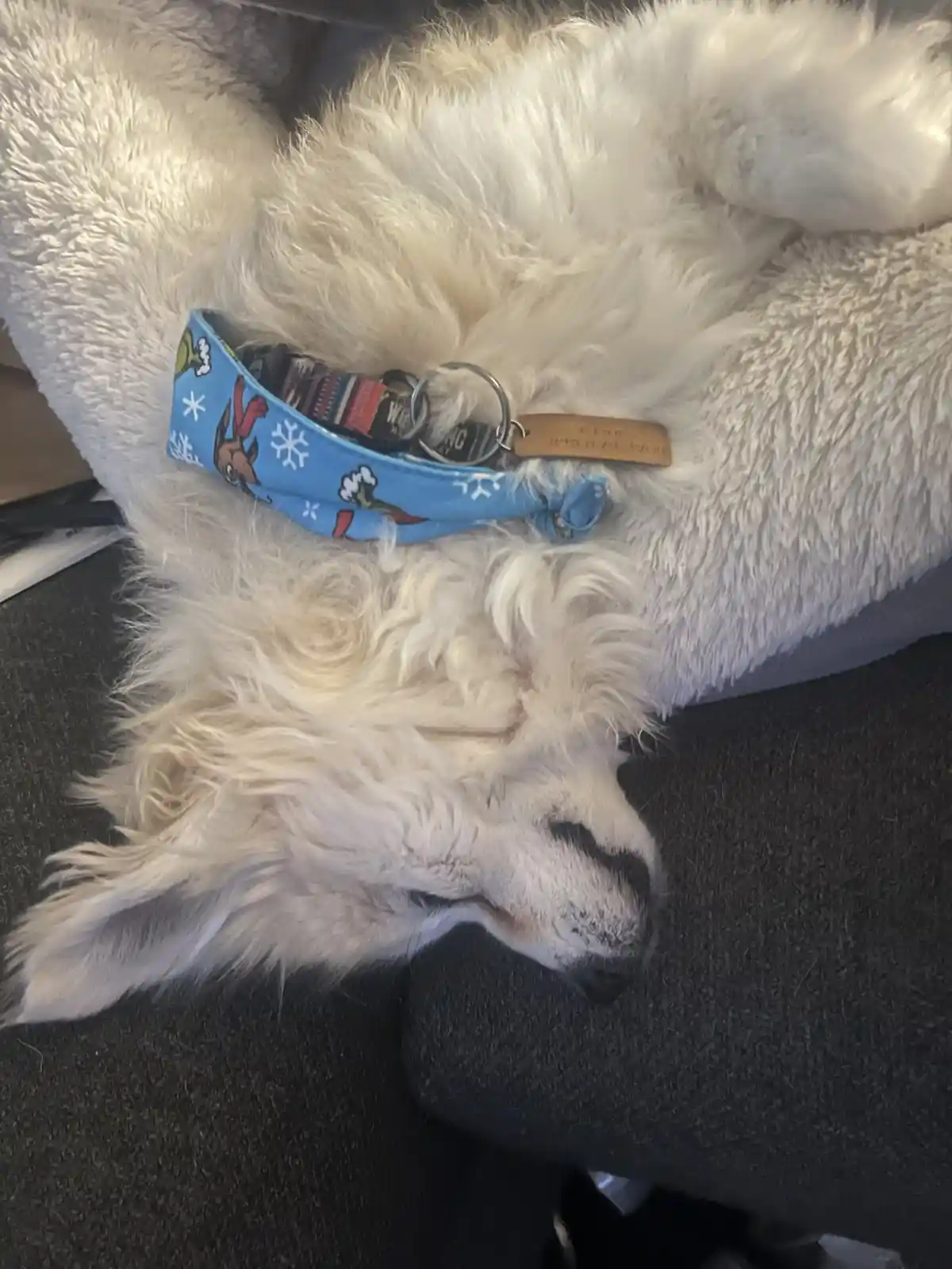 Exhausted but still defying the laws of physics