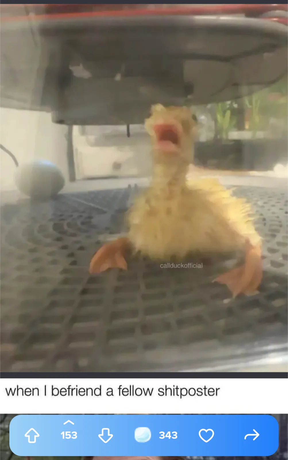 A blurry image of a small yellow duckling with its beak wide open, standing on a black grated surface under a large…